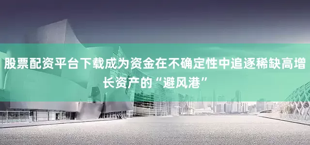 股票配资平台下载成为资金在不确定性中追逐稀缺高增长资产的“避风港”