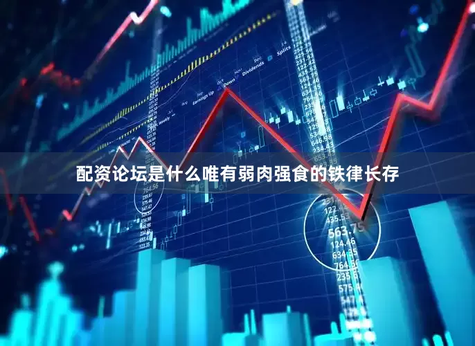 配资论坛是什么唯有弱肉强食的铁律长存