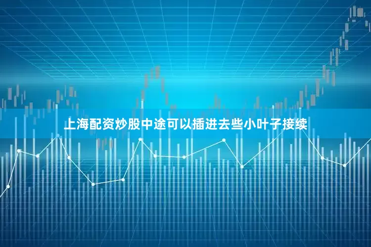 上海配资炒股中途可以插进去些小叶子接续