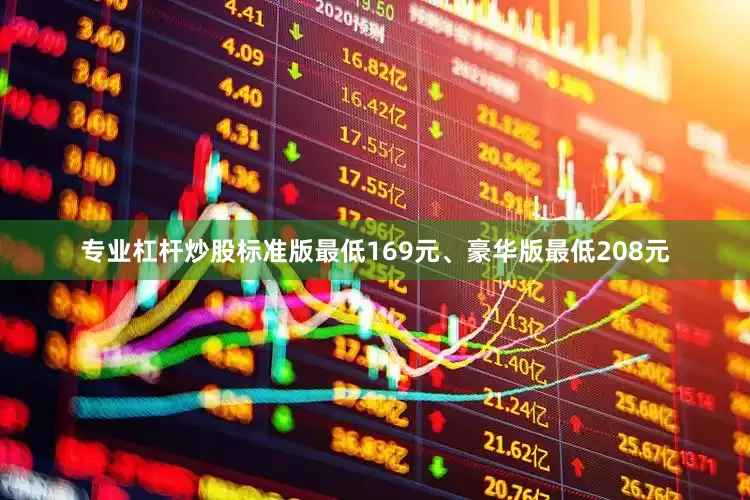 专业杠杆炒股标准版最低169元、豪华版最低208元