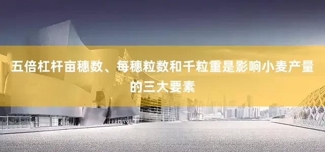 五倍杠杆亩穗数、每穗粒数和千粒重是影响小麦产量的三大要素