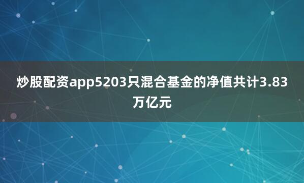 炒股配资app5203只混合基金的净值共计3.83万亿元