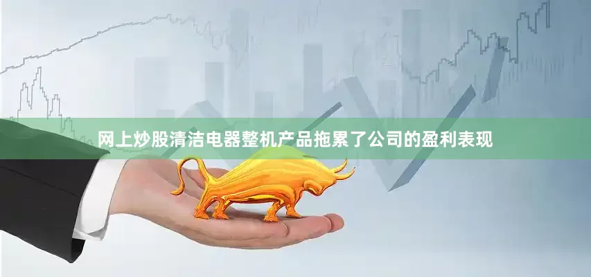 网上炒股　　清洁电器整机产品拖累了公司的盈利表现