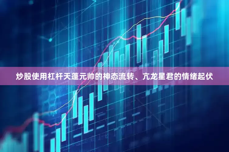 炒股使用杠杆天蓬元帅的神态流转、亢龙星君的情绪起伏